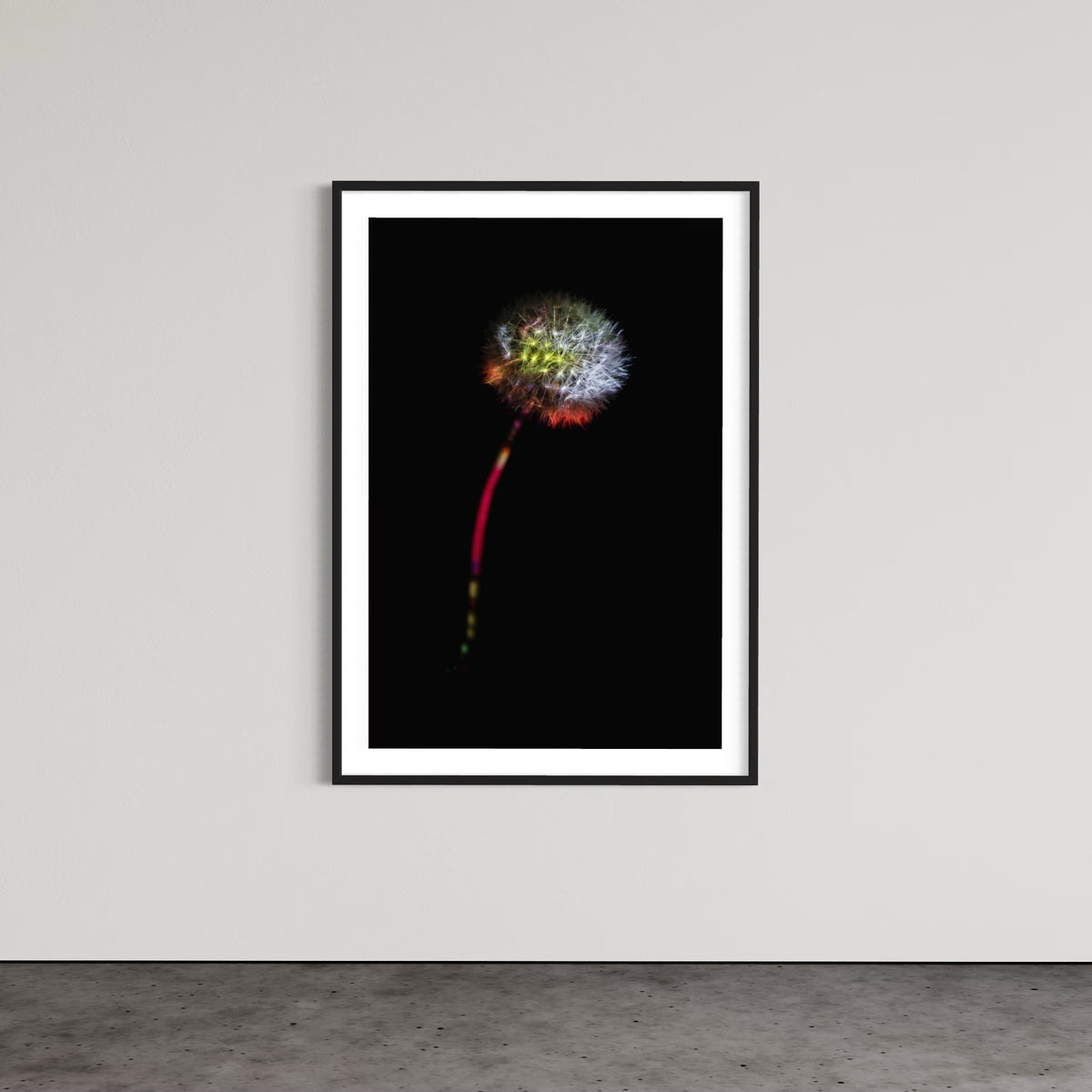 Berlin Hidden Places blowball/ dandelion/  Pusteblume 2020  (signed + Frame)