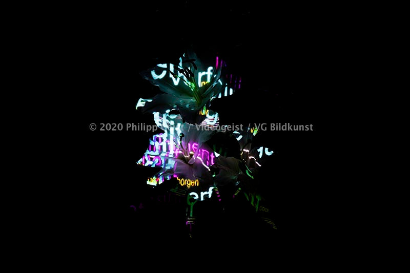 Hidden Places Lilie/ lily Flower 2019  (signed + Frame)