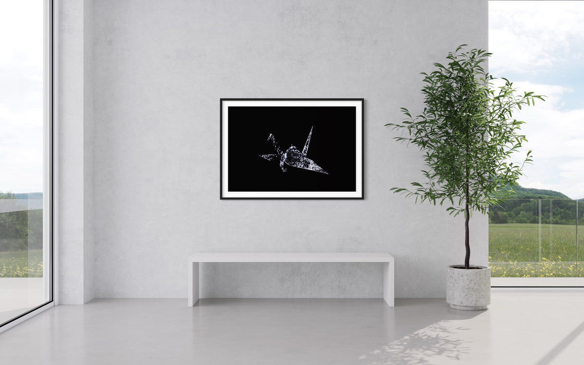 Hidden Places Origami Crane 2020  (signed + Frame)