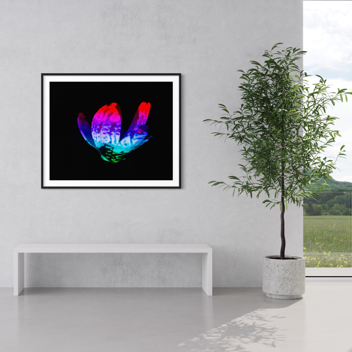 Hidden Places Magnolia Flower 2016  (signed + Frame)