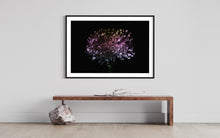 Laden Sie das Bild in den Galerie-Viewer, Hidden Places chrysanthemum flowers/ Chrysantheme 2019 (signed + Frame)
