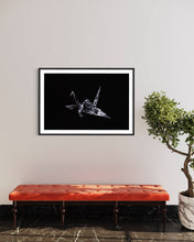 Laden Sie das Bild in den Galerie-Viewer, Hidden Places Origami Crane 2020  (signed + Frame)
