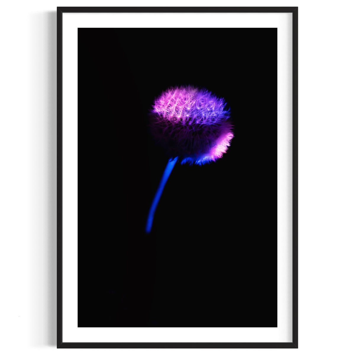 Berlin Hidden Places blowball/ dandelion/  Pusteblume 2020  (signed + Frame)